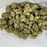 Budget $70 Oz – Ace Killer OG