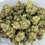 Budget $64 Oz – Bacio Gelato
