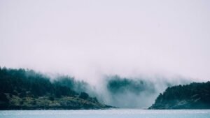 Best MOM in Canada 2026 — How to Judge a Mail Order Marijuana Service