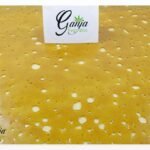 Black Cherry OG Shatter