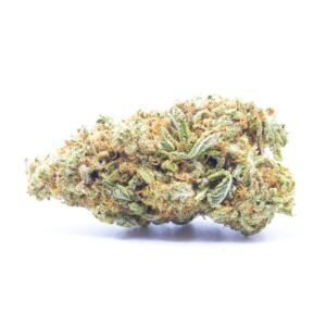 Budget $64 Oz – Blucifer