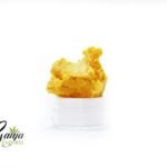 Kootenay Gardens – Random Budder