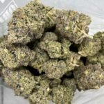 Budget $111 Oz – El Chapo