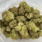 Budget $101 Oz – El Jefe