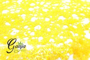 Ganja House Shatter – Fire Alien Kush