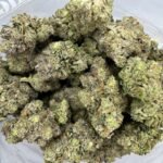 Budget $111 Oz – Island Pink