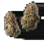 Free 3.5g flower AA-AAA
