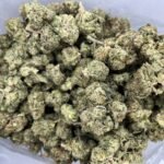 Budget $62 Oz – Russian Assassin