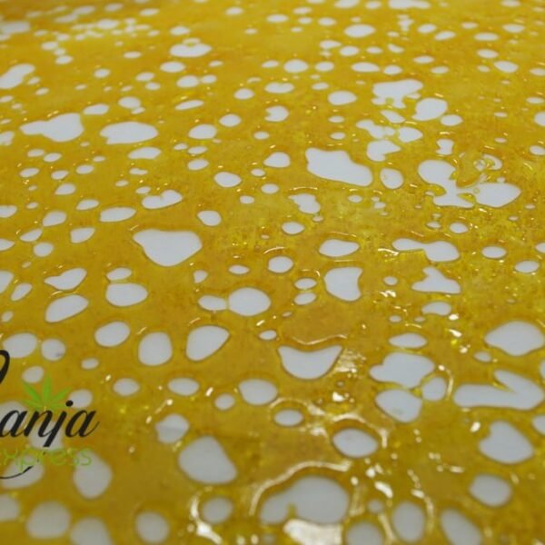 House Shatter