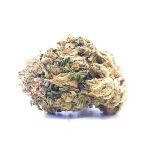 Skunk 1