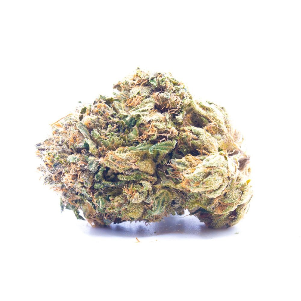 Skunk 1