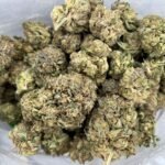 Skunk 1