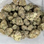 Budget $79 Oz – Sonic Screwdriver