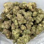 Budget $64 Oz – Sugar Breath
