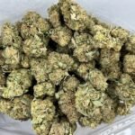 Budget $62 Oz – Sunshine
