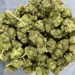 Budget $89 Oz – Tuna Kush